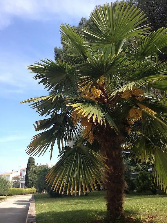 Hotel Flores Porec